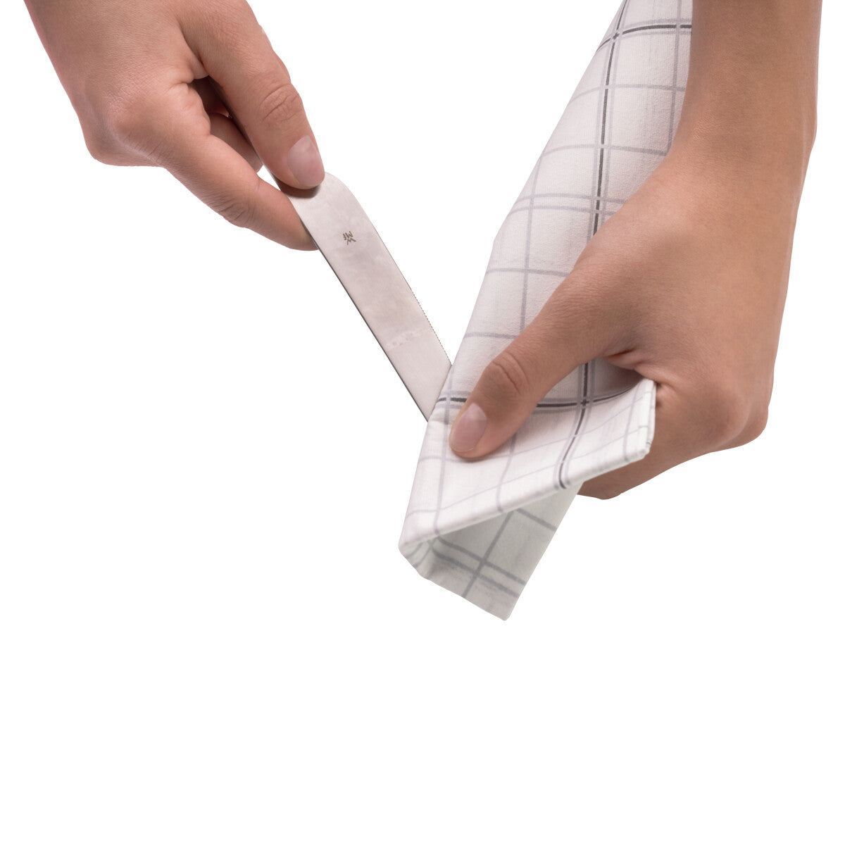 WMF Puragan Pflegemittel für Edelstahl Töpfe